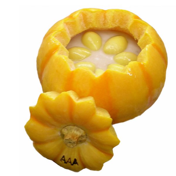 Metro Town Bei Hai Frozen Pumpkin Cup L/XL size